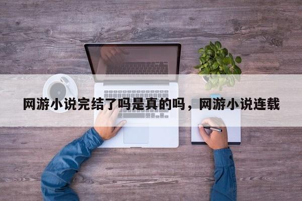 网游小说完结了吗是真的吗，网游小说连载